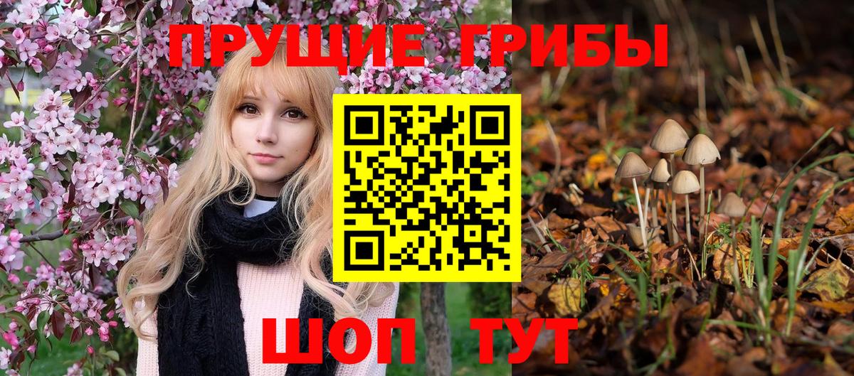 Псилоцибиновые грибы Magic Shrooms  Вход с VPN  Оренбург  Галлюциногенные грибы прущие грибы 