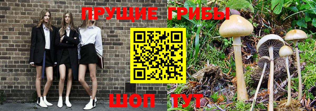 Галлюциногенные грибы ЛСД Оренбург